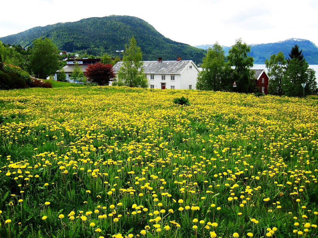 Spring in Norway Explore Norway!
